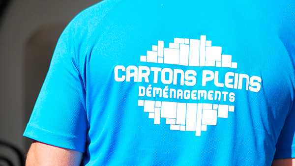 cartons pleins déménagements équipe