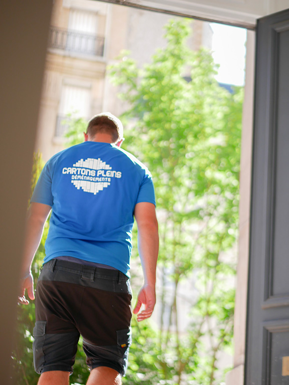 déménageur ile de france